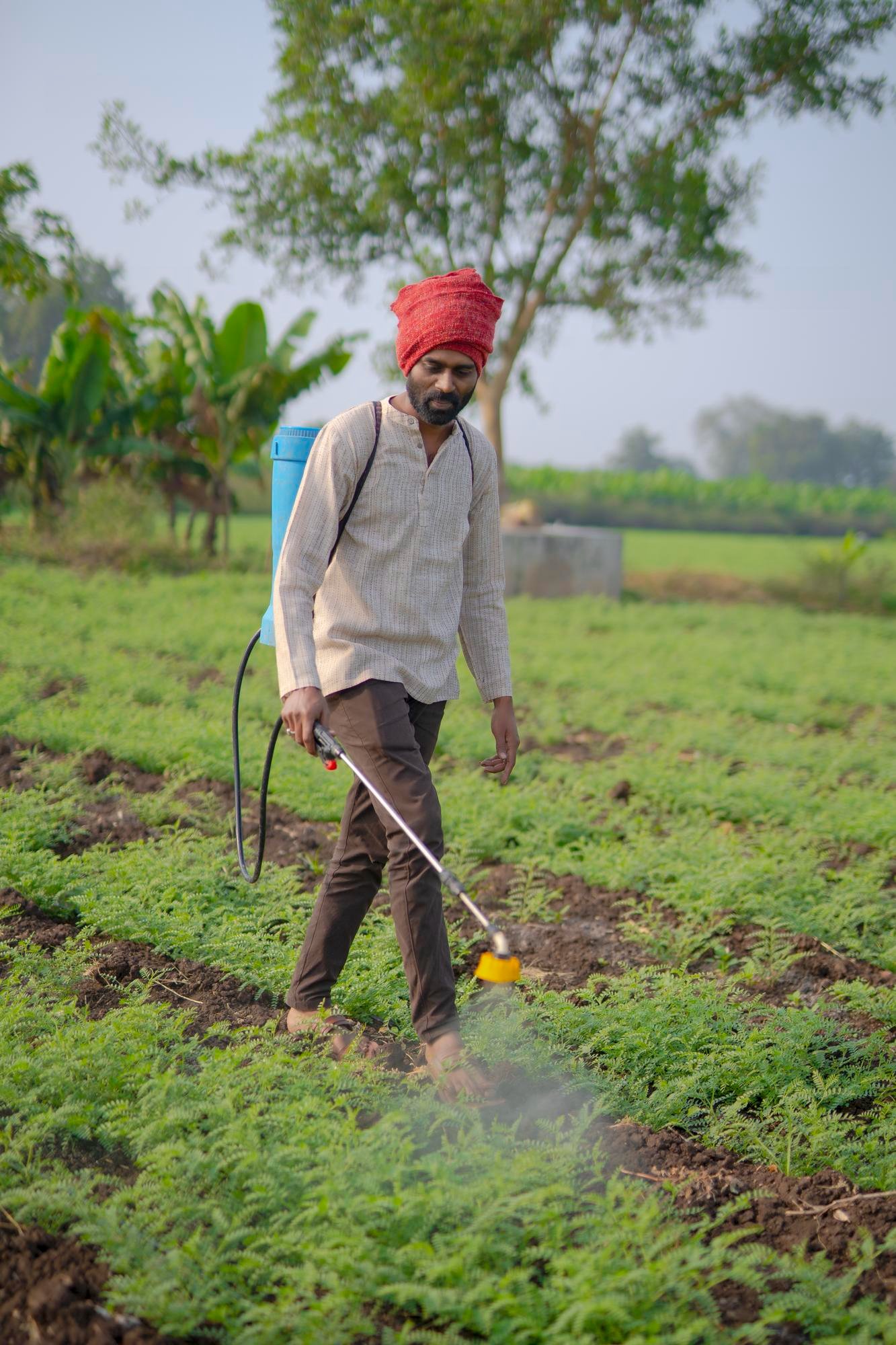 Bio Fertilizers