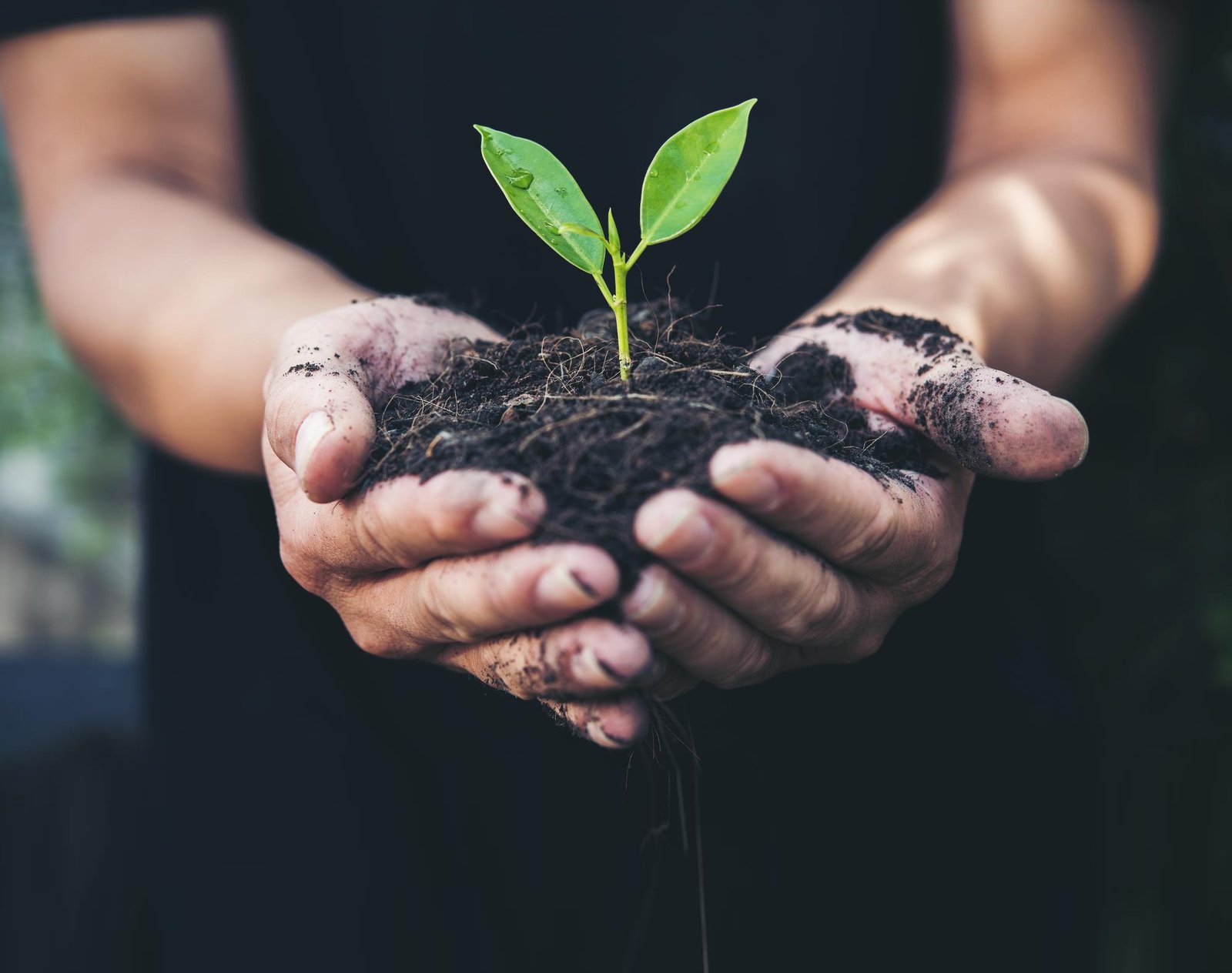 Bio Fertilizers